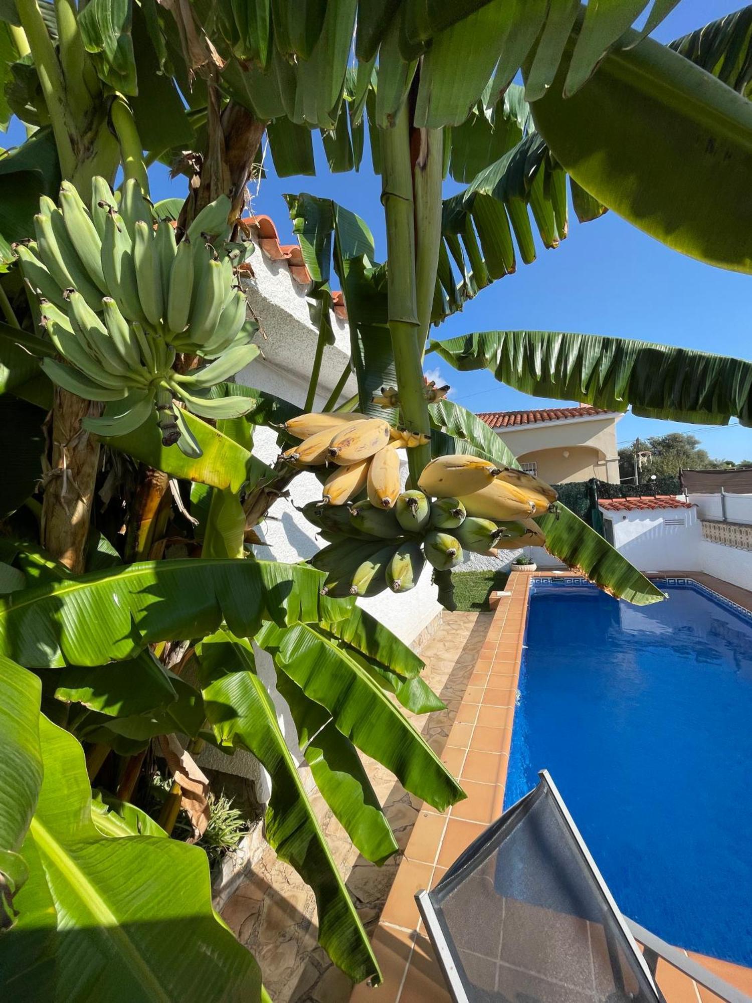 Villa Juani Vinarós Luaran gambar
